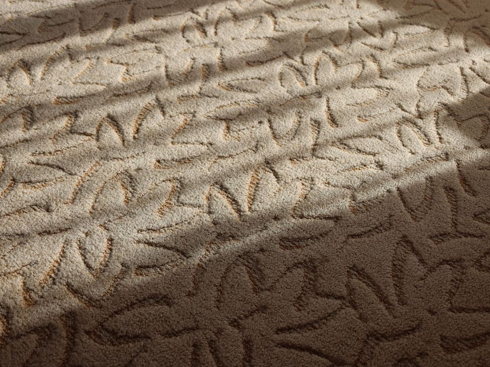 Close view of beige sculpted carpet pile lit by low raking sunlight